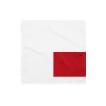 Yemen Flag Bandana | Yemeni Pride | Rep Your Zone